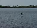 2016.05 Fryslan Bootstour - 42